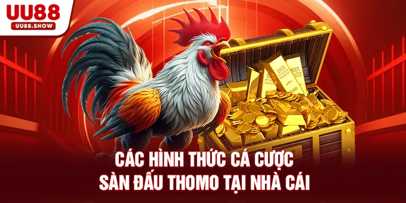 Các hình thức cá cược sàn đấu đỉnh cao tại UU88 Các hình thức cá cược sàn đấu đỉnh cao tại UU88