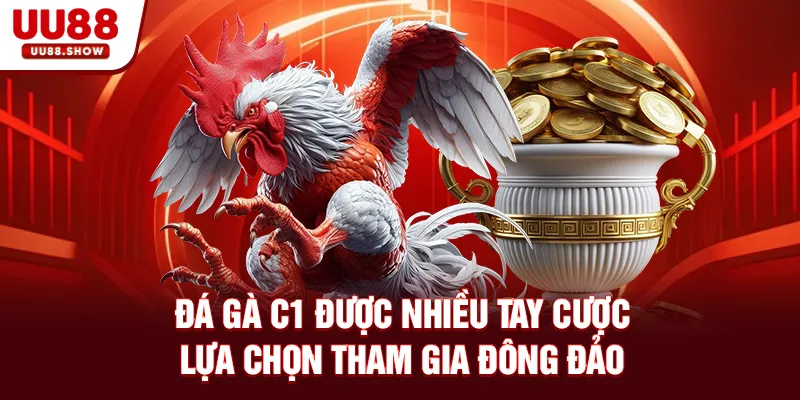 Đá gà C1 được nhiều tay cược lựa chọn tham gia đông đảo