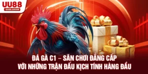 Đá gà C1 UU88 sảnh gà chọi được yêu thích nhất 2025