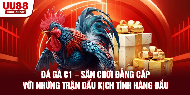 Đá gà C1 UU88 sảnh gà chọi được yêu thích nhất 2025