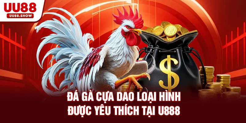 Đá gà cựa dao loại hình được yêu thích tại U888