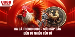 Đá gà Thomo UU88 sức hấp dẫn của chọi gà online