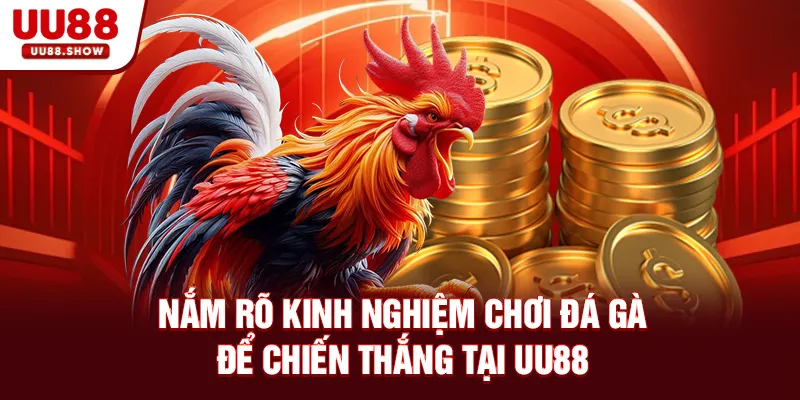 Nắm rõ kinh nghiệm chơi để chiến thắng tại UU88