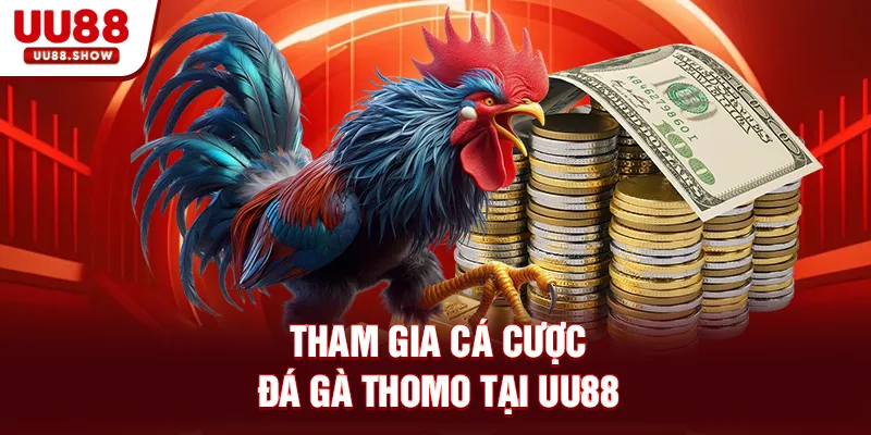 Tham gia cá cược đá gà Thomo tại UU88 Tham gia cá cược đá gà Thomo tại UU88