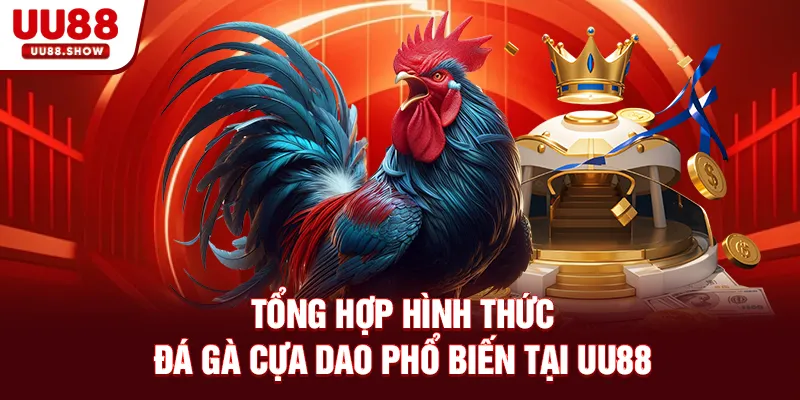 Tổng hợp hình thức cược phổ biến tại UU88