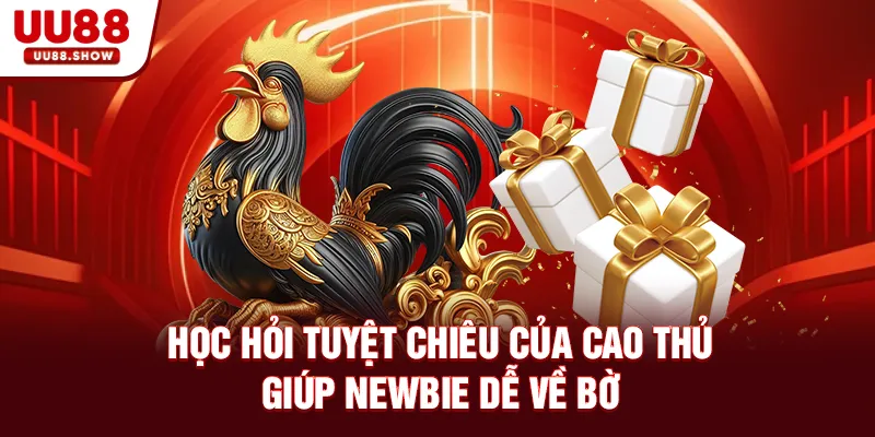 Học hỏi tuyệt chiêu của cao thủ giúp newbie dễ về bờ